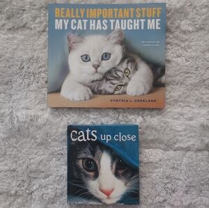 Really Important Stuff My Cat Has Taught Me Cats Up Close Books